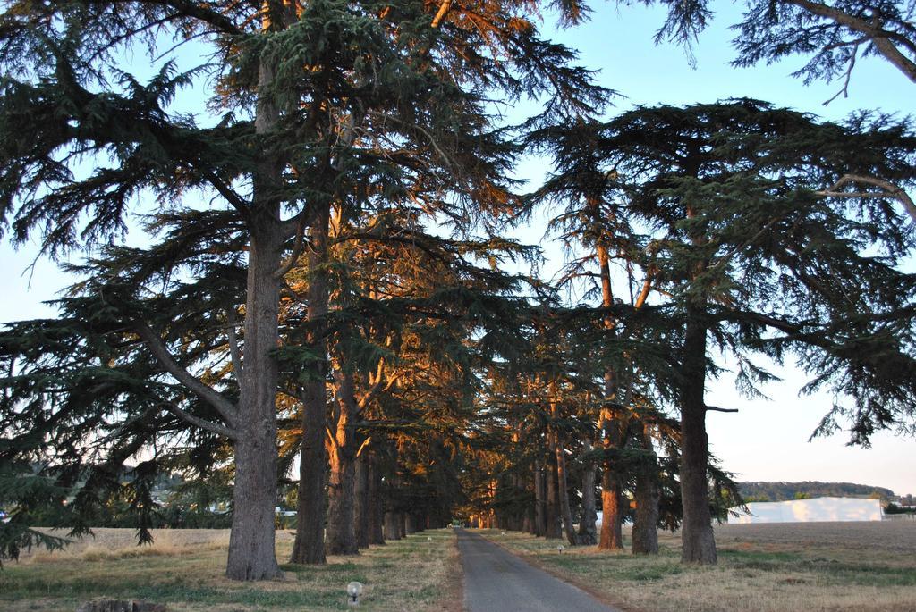 Boé Logis Hotels - Chateau Saint Marcel מראה חיצוני תמונה